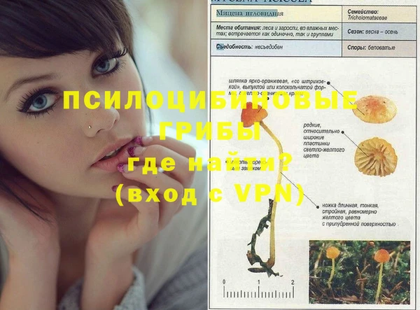 таблы Волоколамск