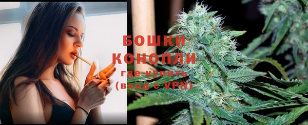 молекула духа Бронницы