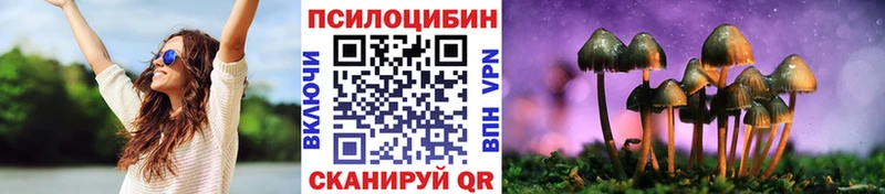 как найти закладки  Звенигород  Галлюциногенные грибы Psilocybe 